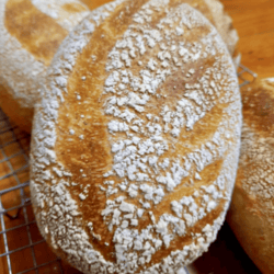 Tomato and Herb Sourdough 650gm-Placed Mon & Get Thur