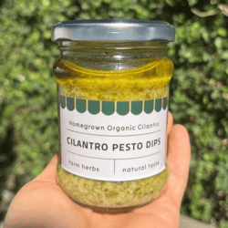 Homemade Organic Cilantro Pesto Dips 200ml
