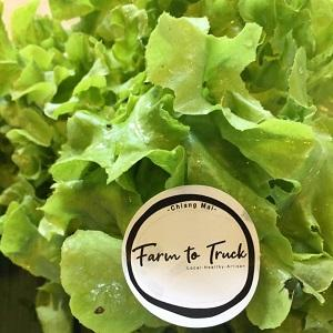 Organic Green Oak 250gm