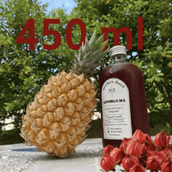 Organic Pineapple Roselle Kombucha 450ml