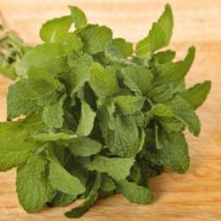 Organic Kitchen Mint 50gm