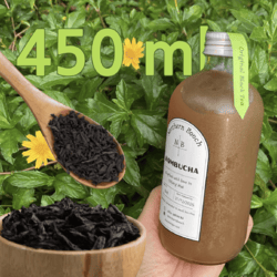 Organic Black Tea Kombucha 450ml