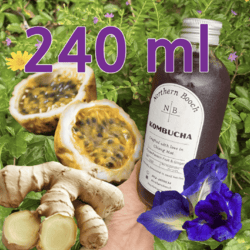 Organic Purple Passion Fruit & Ginger Kombucha 240ml