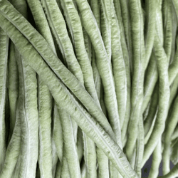 Organic Yard Long Beans 200gm