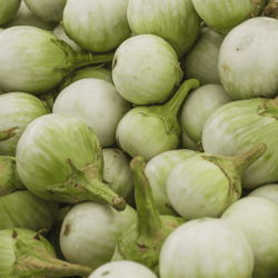 Organic Thai Round Eggplant 200gm