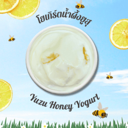 Yuzu Honey Yogurt Gelato 350gm-CNX only