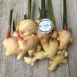 Organic Ginger 100gm (Seasonal-Mixed Old-Young)
