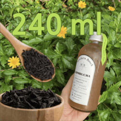 Organic Black Tea Kombucha 240ml