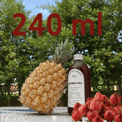 Organic Pineapple Roselle Kombucha 240ml